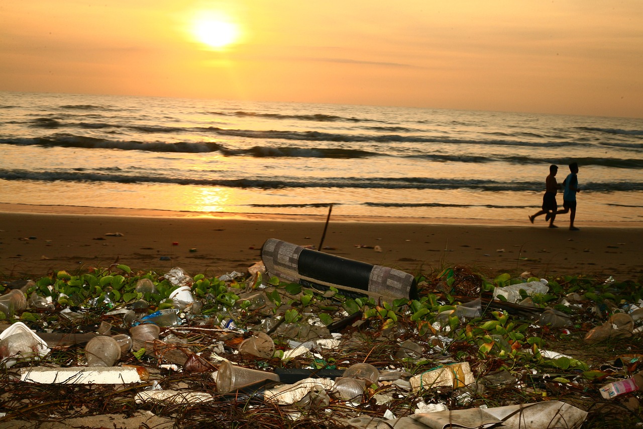 The Effect of Single-Use Plastics on Oceanic Life